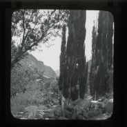 Böhl glass slide 61./1474